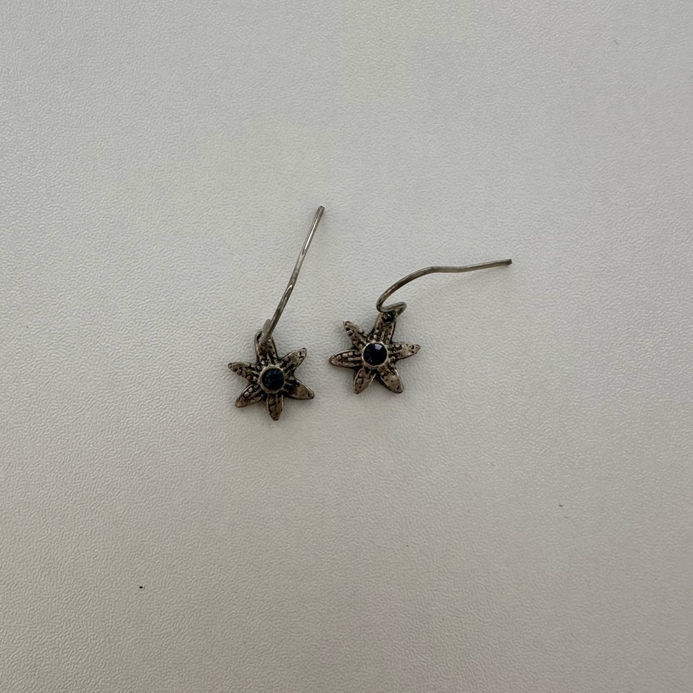 Elegant Star-Shaped Earrings in Silver and Black